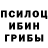 Галлюциногенные грибы прущие грибы vii kii